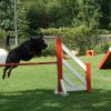 agility 2011-07-24